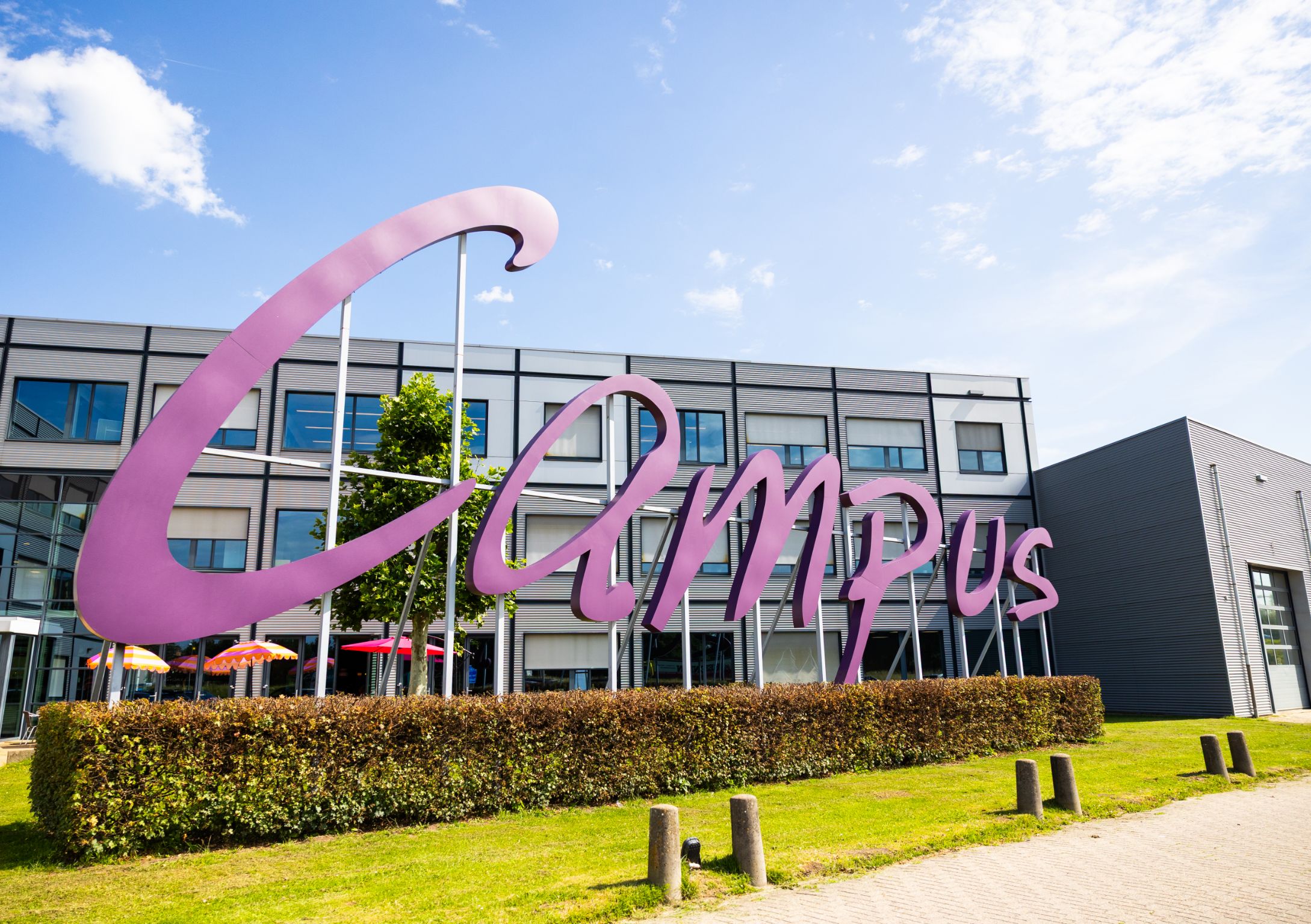 Campus letters paars 2.0